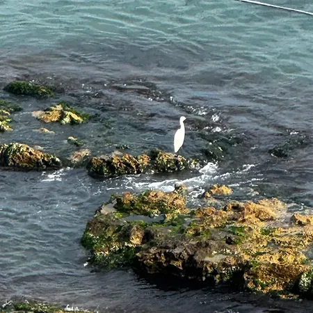 Seaview
